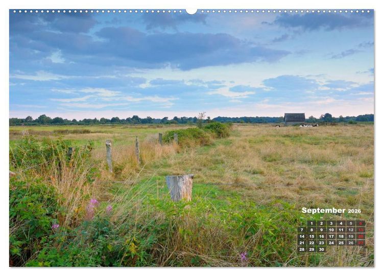 Produktbild: Die Dingdener Heide im Wandel der Jahreszeiten (Wandkalender 2026 DIN A2 quer), CALVENDO Monatskalender