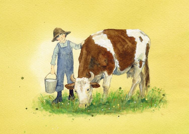 Produktbild: Postkartenbuch &raquo;Alle meine Tiere&laquo;