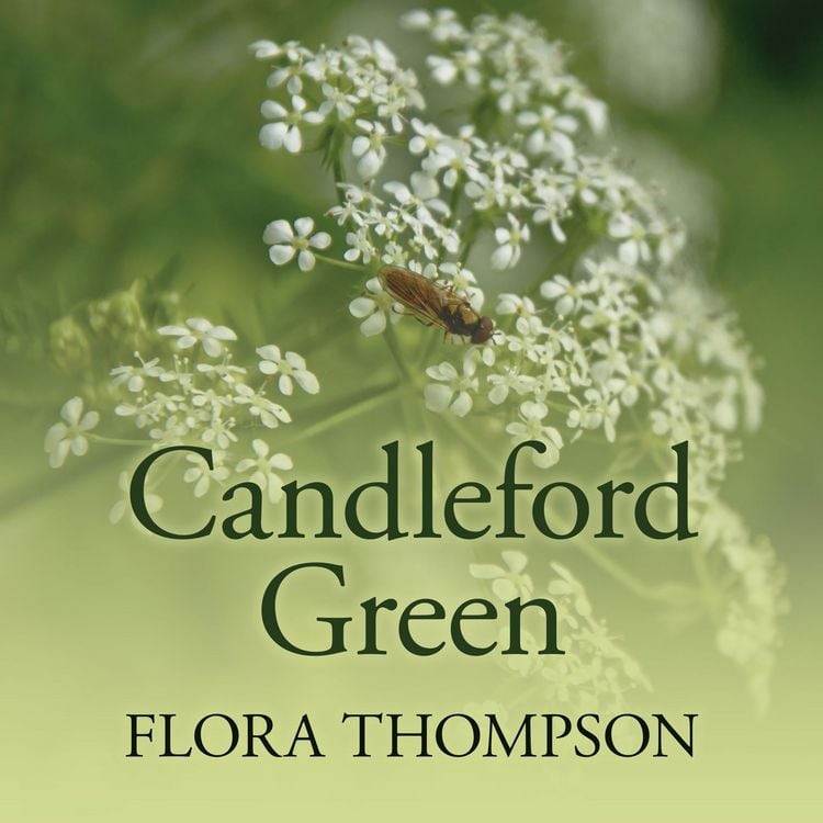 Produktbild: Candleford Green