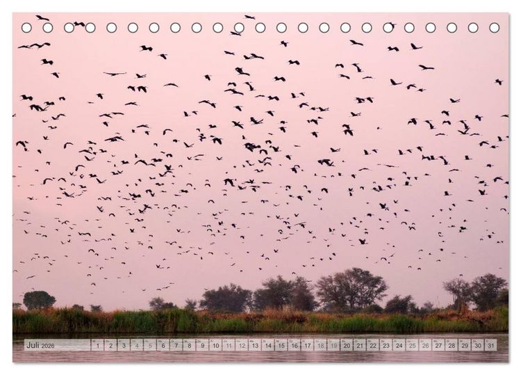 Produktbild: NAMIBIA Christian Heeb (Tischkalender 2026 DIN A5 quer), CALVENDO Monatskalender