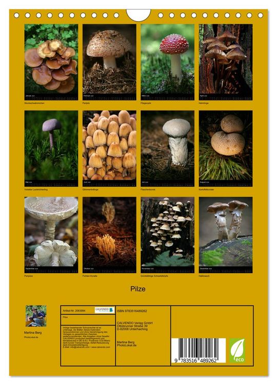 Produktbild: Pilze (Wandkalender 2026 DIN A4 hoch), CALVENDO Monatskalender