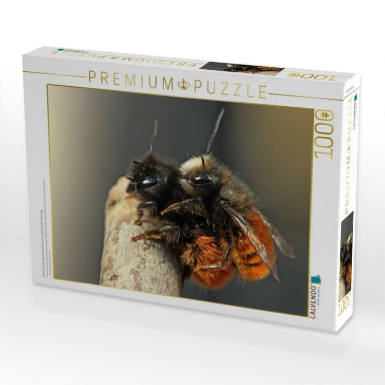 Produktbild: CALVENDO Puzzle Geh&ouml;rnte Mauerbienen (Osmia cornuta) bei der Paarung | 1000 Teile Lege-Gr&ouml;&szlig;e 64x48cm Foto-Puzzle f&uuml;r gl&uuml;ckliche Stunden
