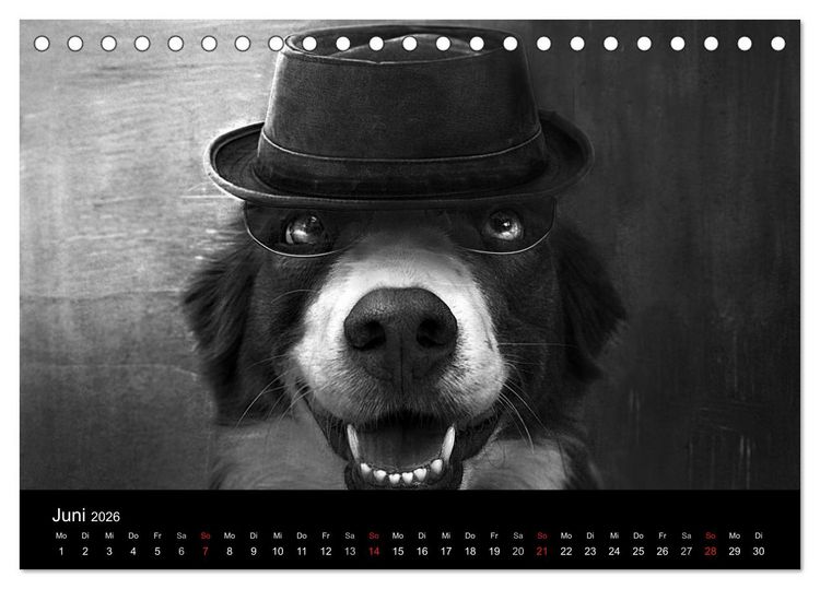 Produktbild: H&uuml;tehunde (Tischkalender 2026 DIN A5 quer), CALVENDO Monatskalender