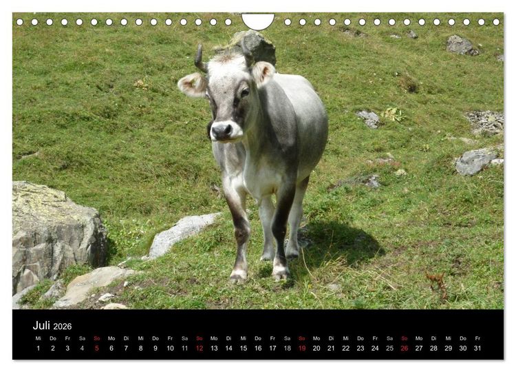 Produktbild: Die Welt der Berge (Wandkalender 2026 DIN A4 quer), CALVENDO Monatskalender