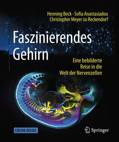 Produktbild: Faszinierendes Gehirn