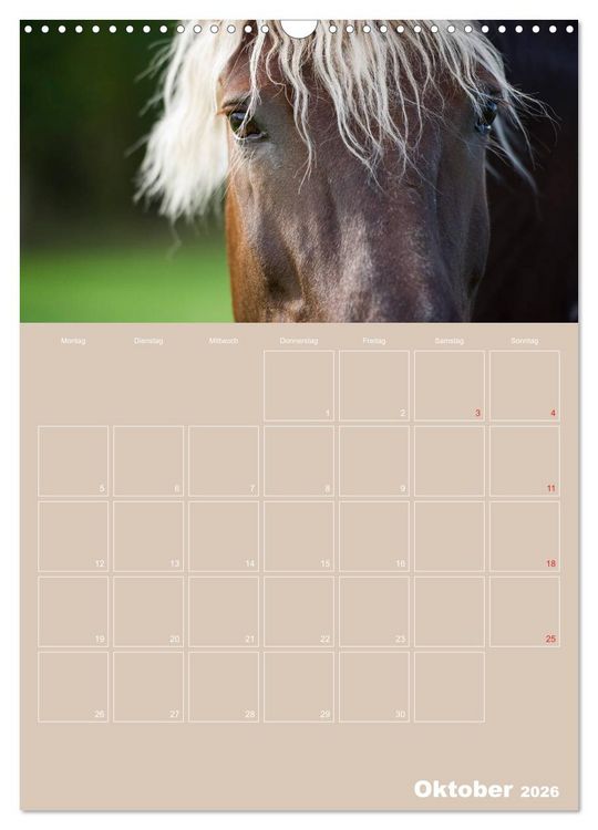 Produktbild: Pferde / Planer (Wandkalender 2026 DIN A3 hoch), CALVENDO Monatskalender