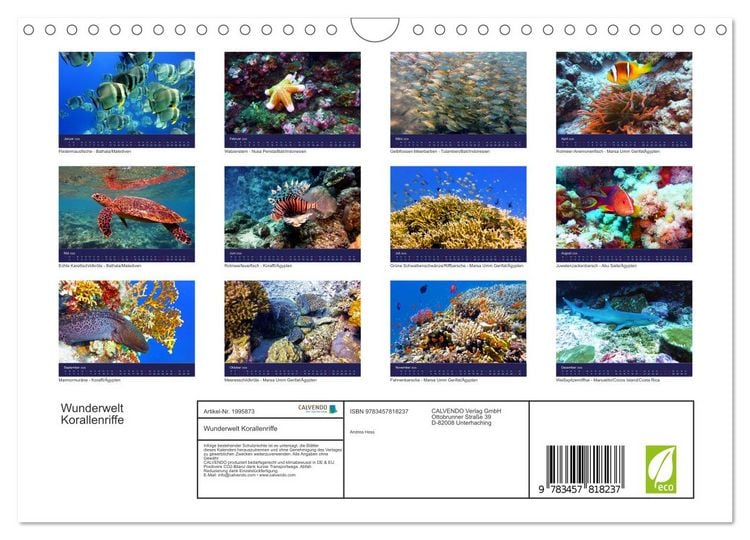 Produktbild: Wunderwelt Korallenriffe (Wandkalender 2026 DIN A4 quer), CALVENDO Monatskalender