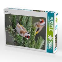 Produktbild: CALVENDO Puzzle Stieglitz 2000 Teile Lege-Gr&ouml;&szlig;e 67 x 90 cm Foto-Puzzle Bild von Dieter-M. Wilczek
