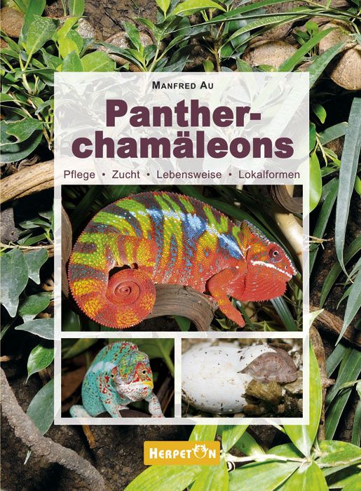 Produktbild: Panthercham&auml;leons