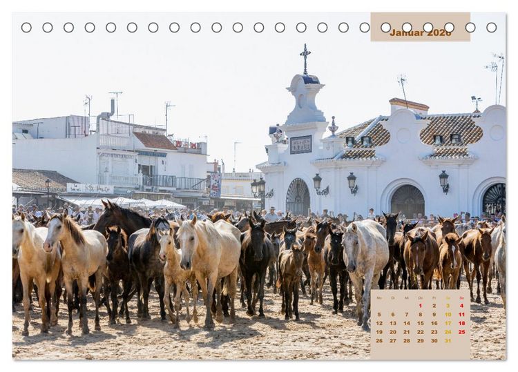 Produktbild: Pferde - Andalusiens wilder Westen (Tischkalender 2026 DIN A5 quer), CALVENDO Monatskalender