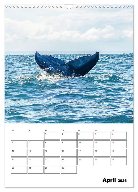 Produktbild: Boa Vista - die &bdquo;Perle&ldquo; der Kapverden (Wandkalender 2026 DIN A3 hoch), CALVENDO Monatskalender