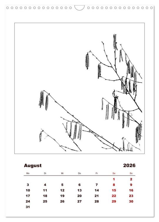 Produktbild: LignoGrafica - Muster und Strukturen der B&auml;ume (Wandkalender 2026 DIN A3 hoch), CALVENDO Monatskalender