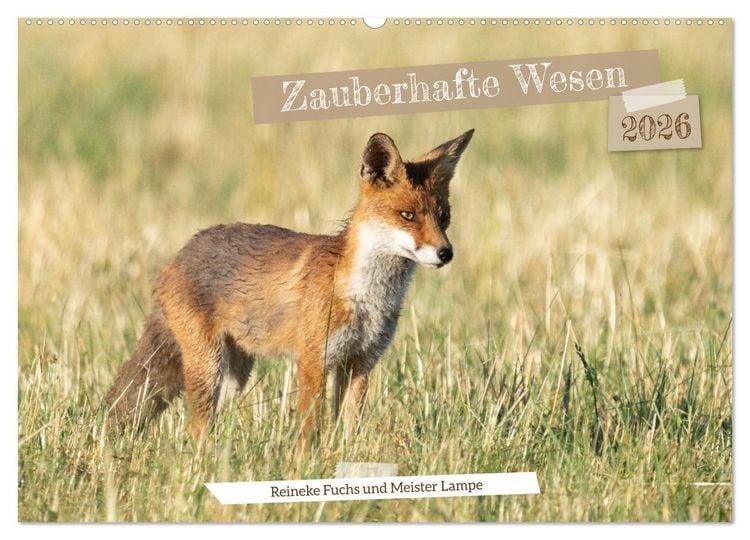 Produktbild: Zauberhafte Wesen - Reineke Fuchs und Meister Lampe (Wandkalender 2026 DIN A2 quer), CALVENDO Monatskalender
