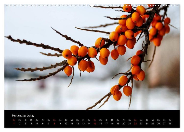 Produktbild: Gesehen auf - R&uuml;gen und Hiddensee (hochwertiger Premium Wandkalender 2026 DIN A2 quer), Kunstdruck in Hochglanz