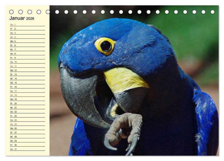 Produktbild: Brasilien. Faszinierend und gro&szlig; wie ein Kontinent (Tischkalender 2026 DIN A5 quer), CALVENDO Monatskalender