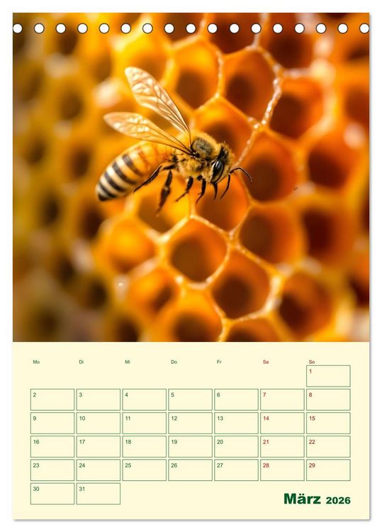 Produktbild: Bienenblick &ndash; Ein Jahr mit den Bienen (Tischkalender 2026 DIN A5 hoch), CALVENDO Monatskalender
