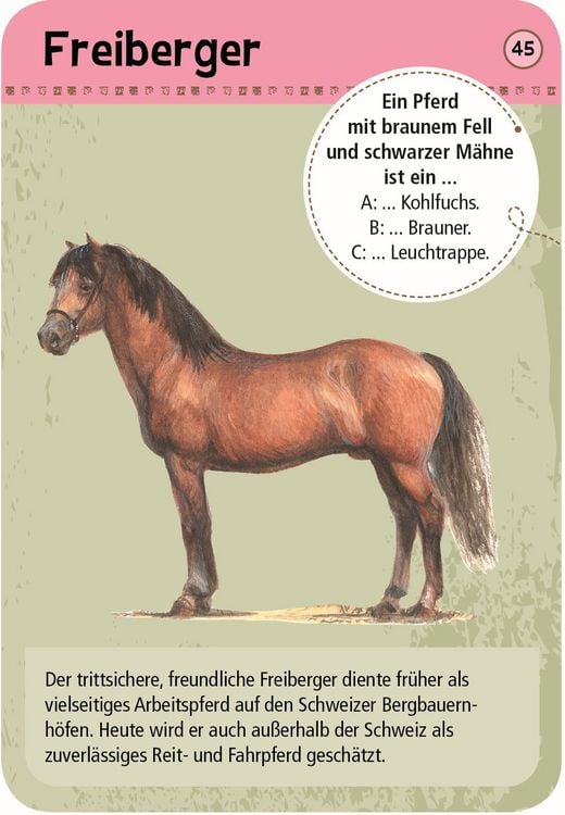 Produktbild: Expedition Natur - 50 Pferde & Ponys