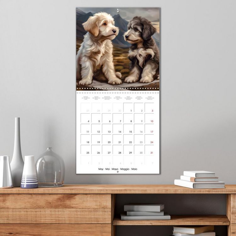 Produktbild: Aussiedoodle - Dogs to love (Wall Calendar 2026 12 &times; 12 Inch) CALVENDO 12 Month Wall Calendar