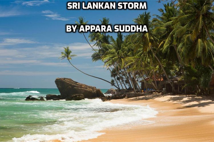 Produktbild: Sri Lankan Storm