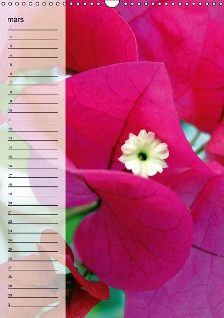 Produktbild: Blank, R: Fleurs tropicales / calendrier anniversaire (Calen