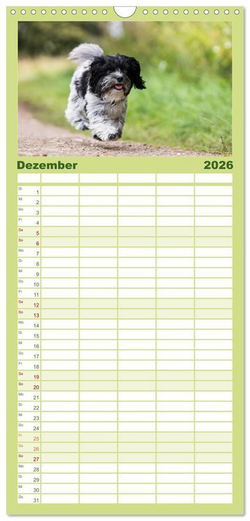 Produktbild: Familienplaner 2026 - Spa&szlig; mit Havanesern mit 5 Spalten (Wandkalender, 21 x 45 cm) CALVENDO
