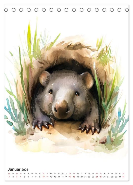 Produktbild: Australiens Tiere - Illustriert in Wasserfarben (Tischkalender 2026 DIN A5 hoch), CALVENDO Monatskalender