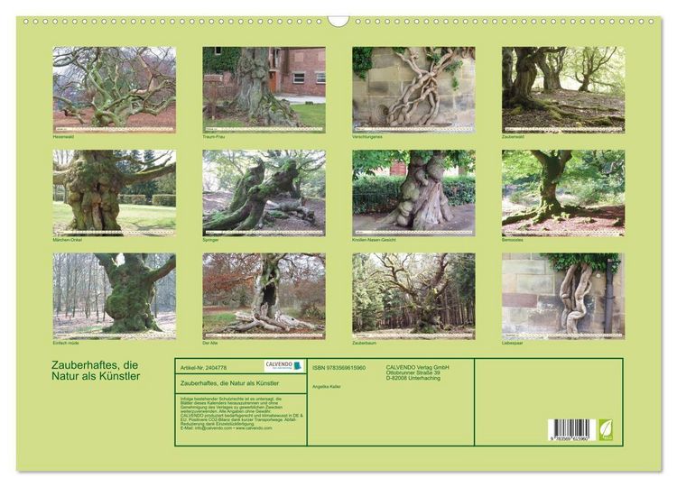 Produktbild: Zauberhaftes, die Natur als K&uuml;nstler (Wandkalender 2027 DIN A2 quer), CALVENDO Monatskalender
