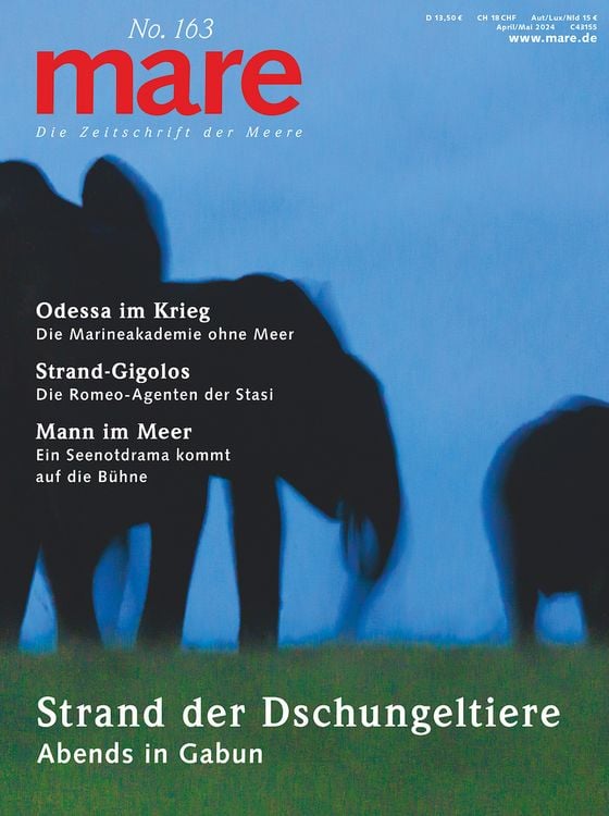 Produktbild: Mare - Die Zeitschrift der Meere / No. 163 / Strand der Dschungeltiere