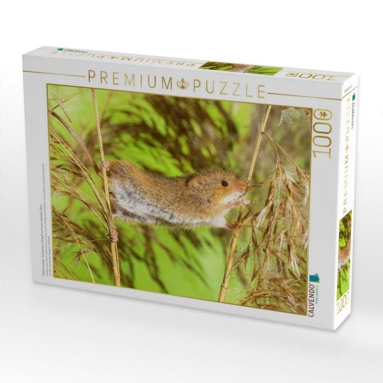 Produktbild: CALVENDO Puzzle Klettermeister: Zwergmaus hangelt auf einer Getreide-&Auml;hre | 1000 Teile Lege-Gr&ouml;&szlig;e 64x48cm Foto-Puzzle f&uuml;r gl&uuml;ckliche Stunden