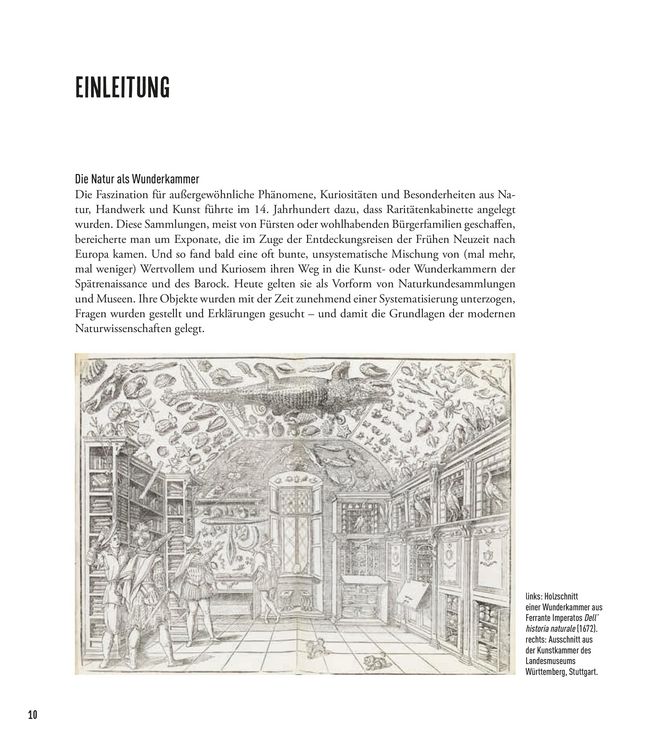 Produktbild: Wunderkammer Natur