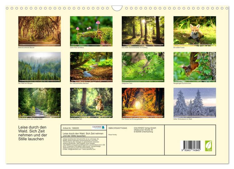 Produktbild: Leise durch den Wald. Sich Zeit nehmen und der Stille lauschen (Wandkalender 2026 DIN A3 quer), CALVENDO Monatskalender
