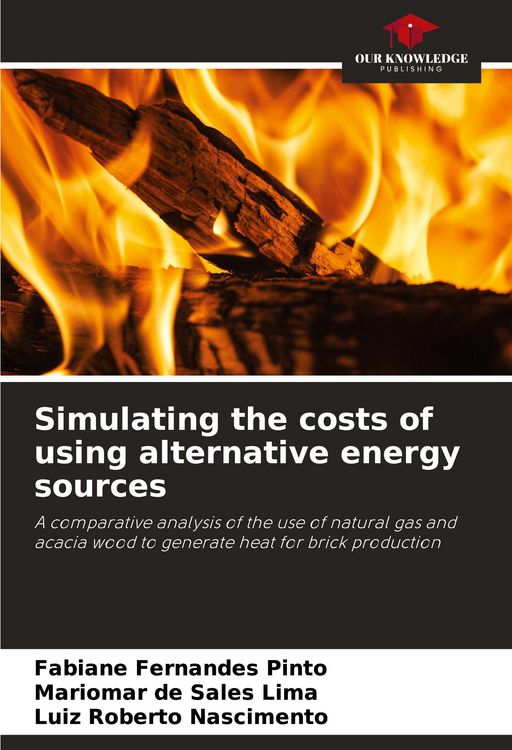 Produktbild: Simulating the costs of using alternative energy sources