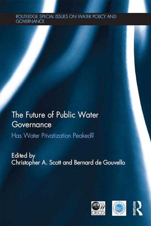 Produktbild: The Private Sector and Water Pricing in Efficient Urban Water Management