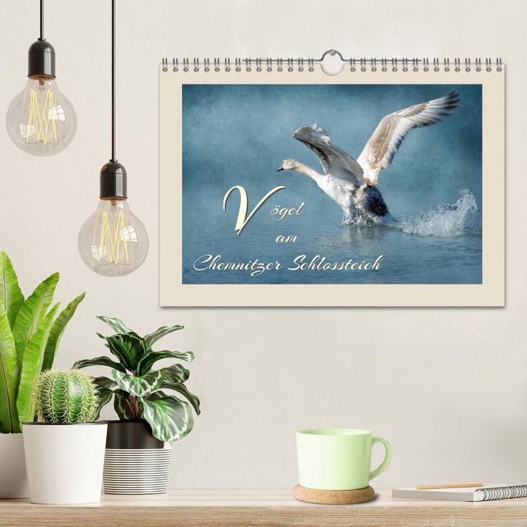 Produktbild: V&ouml;gel am Chemnitzer Schlossteich (Wandkalender 2027 DIN A4 quer), CALVENDO Monatskalender