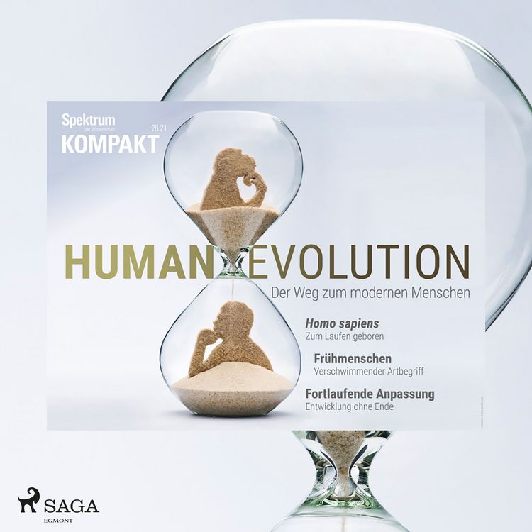 Produktbild: Spektrum Kompakt: Humanevolution - Der Weg zum modernen Menschen