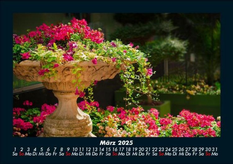 Produktbild: Blumenträume 2025 Fotokalender DIN A5