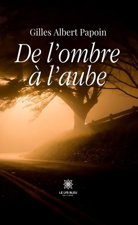Produktbild: De l'ombre &agrave; l'aube
