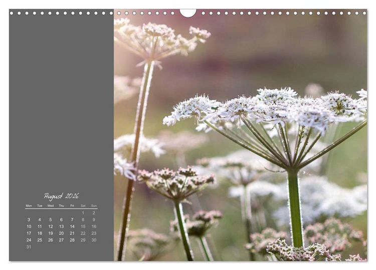 Produktbild: Vibrancy of flowers (Wall Calendar 2026 DIN A3 landscape), CALVENDO 12 Month Wall Calendar