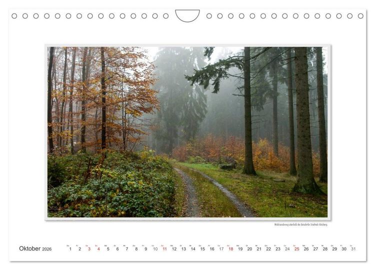 Produktbild: Emotionale Momente: Betzdorf - liebens- und lebenswerte Stadt an der Sieg. (Wandkalender 2026 DIN A4 quer), CALVENDO Monatskalender