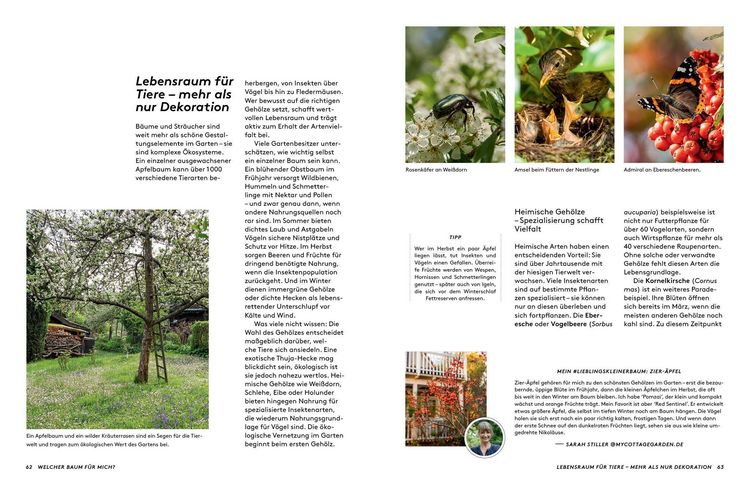 Produktbild: Kleine B&auml;ume f&uuml;r den Garten