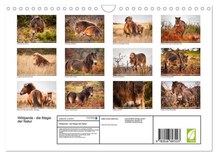 Produktbild: Wildperde - die Magie der Natur (Wandkalender 2026 DIN A4 quer), CALVENDO Monatskalender