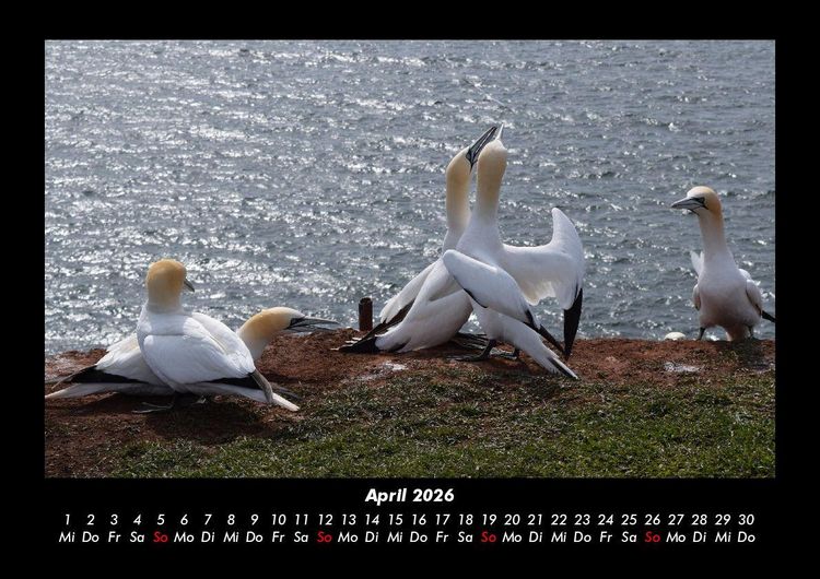 Produktbild: Seeblick 2026 Fotokalender DIN A3