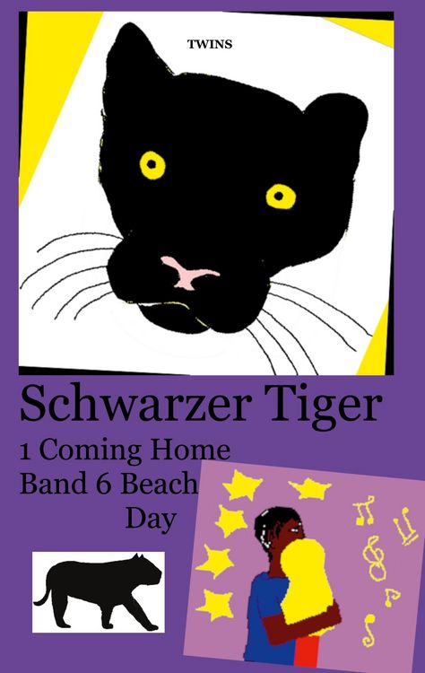 Produktbild: Schwarzer Tiger 1 Coming Home