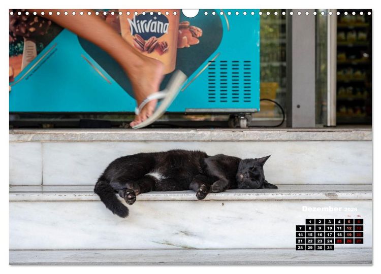 Produktbild: Katzen von Rhodos - Kleine G&ouml;tter auf vier Pfoten (Wandkalender 2026 DIN A3 quer), CALVENDO Monatskalender