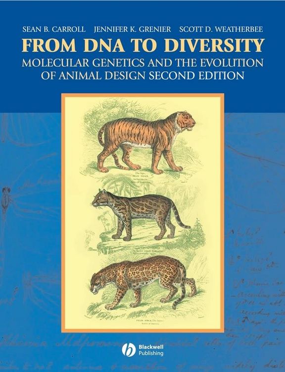 Produktbild: From DNA to Diversity