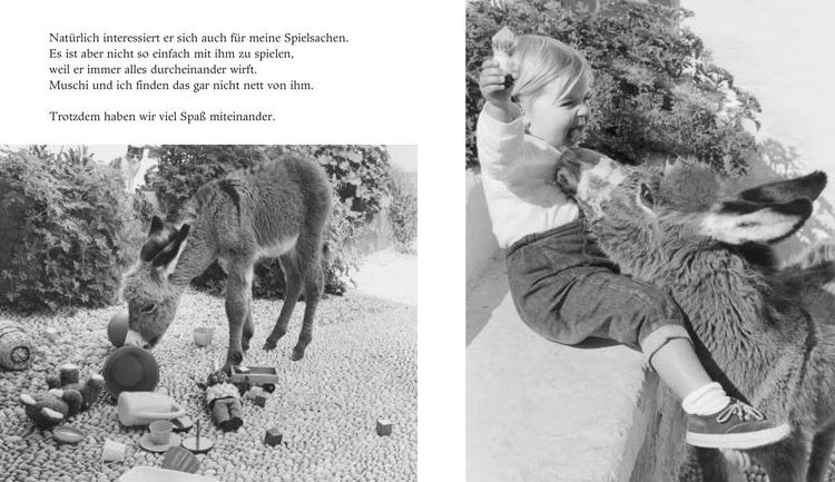 Produktbild: Mein Esel Benjamin (Mini-Ausgabe)