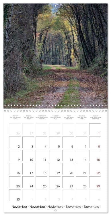 Produktbild: Les couleurs de la Vienne (Calendrier mural carr&eacute; 2026 30x30 cm) Calendrier double avec une page pour vos prises de notes