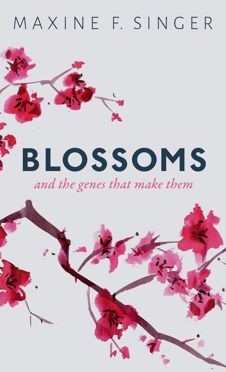 Produktbild: Blossoms C