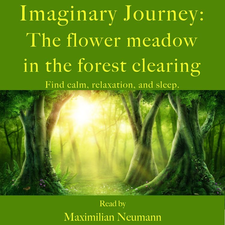Produktbild: Imaginary Journey: The flower meadow in the forest clearing