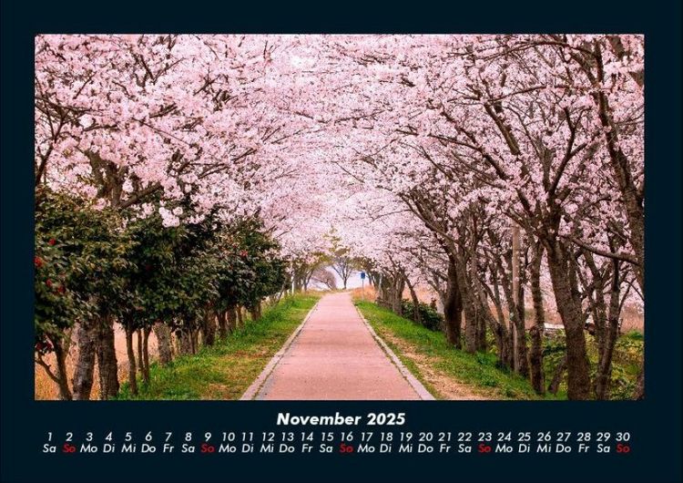 Produktbild: Natur Pur 2025 Fotokalender DIN A4